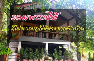 �����ó��� �������û�١�����ҧ�ҡ��Ǻ�ҹ