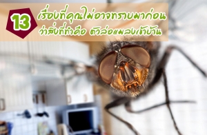 13 ����ͧ���س����Ҩ��Һ�ҡ�͹ �����觷��Ӥ�� ��������ŧ��Һ�ҹ