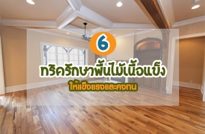 6 ��Ԥ�ѡ�Ҿ��������������㹺�ҹ ������ç��Ф���