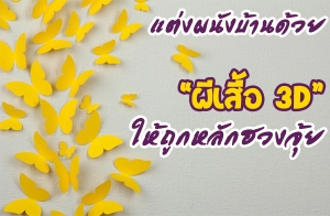 �觼�ѧ��ҹ���¼������ 3D ���١��ѡ�ǧ����