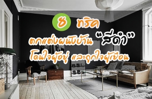 8 ��Ԥ�ش�� ���觼�ѧ��ҹ�մ�������� ⴹ㨼������ ��ж١㨼�����͹