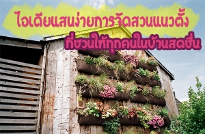 ������ʹ���� 㹡�èѴ�ǹ�ǵ�� ���ǹ���ء��㹺�ҹʴ���