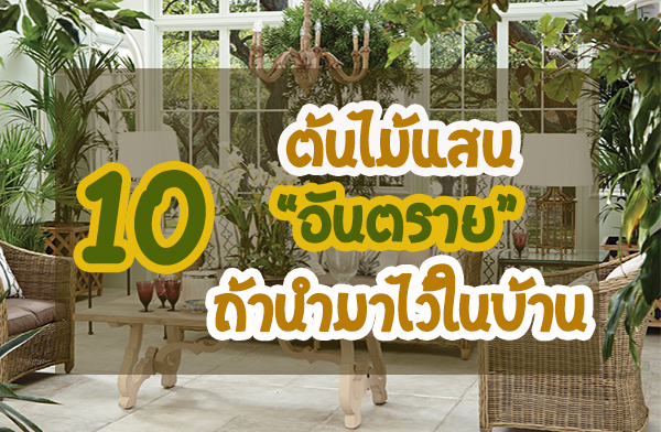 10 ������ʹ�ѹ���� ��ҹ������㹺�ҹ