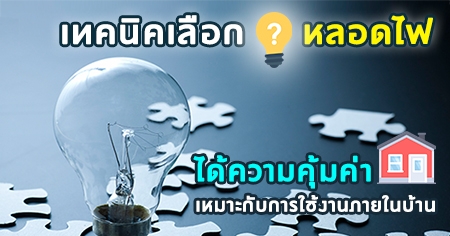 ෤�Ԥ���͡��ʹ� ���������������