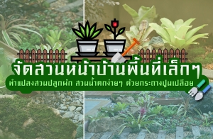 �Ѵ�ǹ˹�Һ�ҹ����վ�鹷������ ���ŧ�ǹ��١�ѡ �ǹ��ӵ������ ���¡�жҧ�ٹ�����