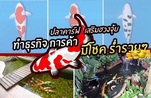 �������§��Ҥ��� ����������ǧ���º�ҹ �����ԭ����˹�Ҵ�ҹ��áԨ ��ä�Ң��������