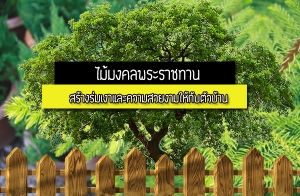 "������ž���Ҫ�ҹ" �������ö��١������ҹ ���ҧ�������Ф�����§�����Ѻ��Ǻ�ҹ