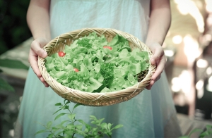 "�Թ�硫� �Կ��������" ���㨡�����١�����ŷ���  �֧ "���͹�����" �Թ����آ�Ҿ�������� ��  ��ͧ�Դ�Ң�����  8 �.�.ȡ���