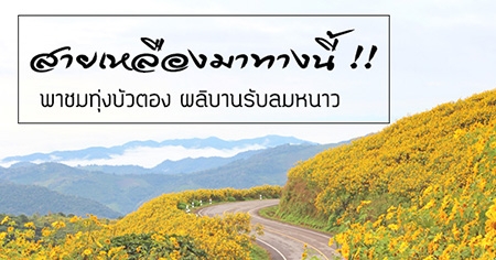 �����������ͧ �Ҫ���觺�ǵͧ ��Ժҹ�Ѻ��˹��