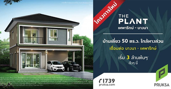 THE PLANT ෾��ѡ��-�ҧ�� ��ҹ����Ƿ����������Ե�ѹ���¡Ѻ�����ҵ� ����鹷����ҧ���ҷ���� ��ҹ����鹴�䫹�Ẻ�����ҹ����ⴴ�� �ѹ���� �Ҥ������ 3 ��ҹ��*