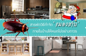 ��þѴ�ԸաӨѴ��ŧ�Һ���㹺�ҹ����������ҧ����