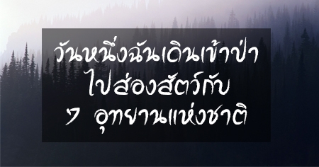 �ѹ˹�觩ѹ�Թ��һ�� ���ͧ�ѵ��Ѻ 7 �ط�ҹ��觪ҵԢͧ���ͧ��