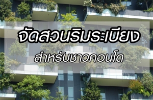 �Ѵ�ǹ���Ѵ��ҹ����͹ᡧ���§ �������§�س����� !!!