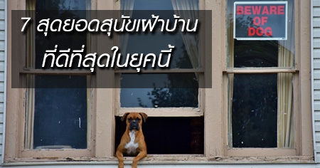 7 �ش�ʹ�عѢ��Һ�ҹ  ���շ���ش��ؤ���