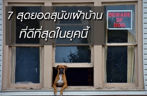 7 �ش�ʹ�عѢ��Һ�ҹ  ���շ���ش��ؤ���