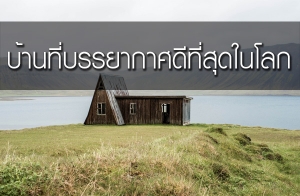 ��ҹ������ҡ�ȴշ���ش��š