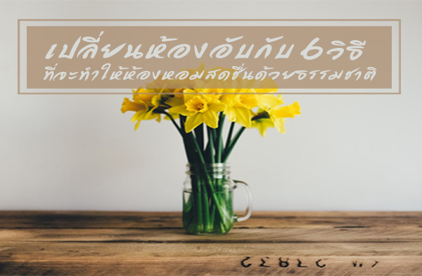 เปลี่ยนห้องอับกับ 6 วิธี ที่จะทำให้ห้องหอมสดชื่น!! เปลี่ยนห้องอับกับ 6 วิธี ที่จะทำให้ห้องหอมสดชื่น!!