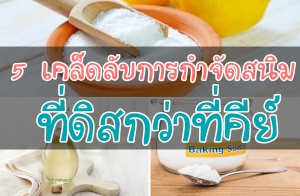 5 ����Ѻ��áӨѴʹ�� ����ʡ��ҷ�����