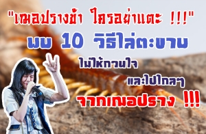 �͵���� !!! "�ͻ�ҧ��� ��������" �� 10 �Ը����ТҺ������ǹ� ��������ͻ�ҧ