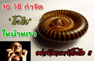 10 �Ը� ��ͧ�ѹ��駡����Һ�ҹ ��������ҹ���ҡ�駡�� !!