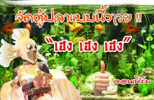 6 �ԸըѴ��������١��ѡ�ǧ���� ��� ��� ��� !!