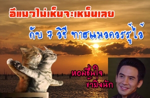 7 �ԸաӨѴ��������� �ͺ⨷������� �������