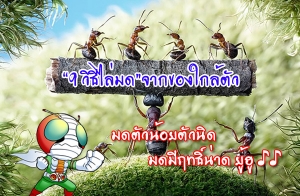 ����ǹ��µ�ǹԴ ����ķ����Ҵ� �Ѻ "9 �Ը������"  �����ҡ�ͧ�����