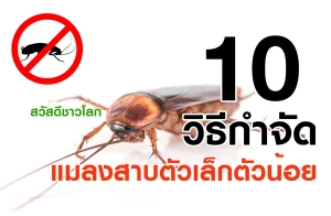 10 �ԸաӨѴ��ŧ�Һ�����硵�ǹ��� ������仨ҡ��ҹ�ͧ�����������Ѻ���ա