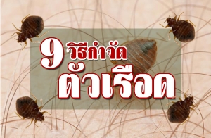 9 �ԸաӨѴ��ҵ�����ʹ����� ��ѭ�����ᴧ�ѹ�غ�Ժ���ҹ͹