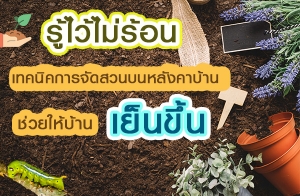 �����������͹ ෤�Ԥ��èѴ�ǹ����ѧ�Һ�ҹ ��������ҹ��繢��