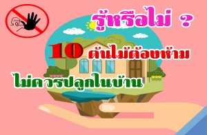 ���������� ? 10 ������ͧ�����������û�١㹺�ҹ