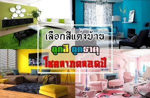 �ǧ�����Ѻ⪤���! ���͡���觺�ҹ�١�� �١�ҵ� ���Ե�յ�ʹ�ը�