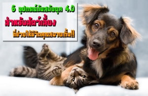 6 �ػ�ó�ѹ�����ؤ 4.0 ����Ѻ�ѵ������§�����������Ե�سʺ�§��¡Ѻ��ô���