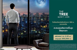 "The Tree �آ���Է71-�͡���" �͹�Ẻ���� �����������ԧ������ ����͡��� �觤ú* ����� 2.59 ��ҹ*