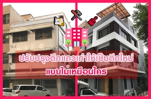 ��Ѻ��ا�֡���������繵֡�������������� 3��� Ẻ�������͹�þ������鹷������蹺��Ҵ���