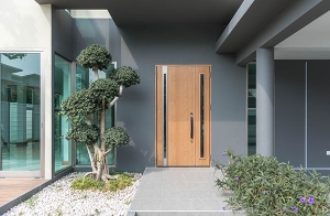 "������" ���ʹ� "�ҹ��е���л�е���������������������ٻ"������� �ͺ⨷�������ͧ�����ҡ���¢ͧ������������