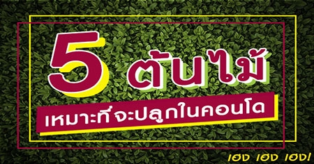 5 ���������з��л�١㹤͹� �Χ �Χ �Χ