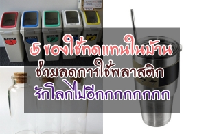 5 �ͧ�鷴᷹㹺�ҹ ����Ŵ�������ʵԡ �ѡ�š��ա��