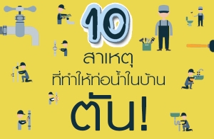 10 ���˵� ��������͹��㹺�ҹ�ѹ!