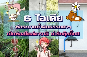 6 ��������ҧ��ä� �ҡ����к�¹�ӽ�������� ����繷�������������� ����ѡ��ꡡ��!!