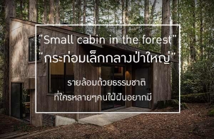 "��з�����硡�ҧ����˭�" ����������¸����ҵ� ���������椹��ѹ��ҡ��