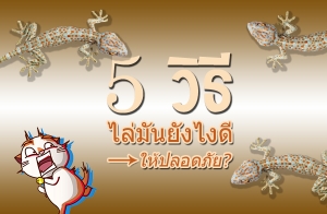 ��� �� �� �ء ���� ���!! 5 �Ը��͵��ᡤ������ѹ�ѧ䧴� ����ʹ���?