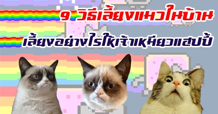 9 �Ը�����§���㹺�ҹ ����§���ҧ���������������λ���