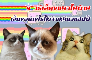 9 �Ը�����§���㹺�ҹ ����§���ҧ���������������λ���