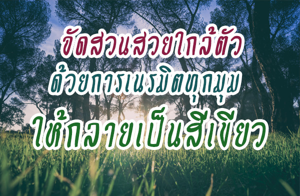 �Ѵ�ǹ�������� ���¡�����Ե�ء�����������������