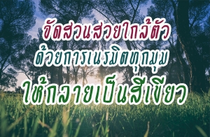 �Ѵ�ǹ�������� ���¡�����Ե�ء�����������������