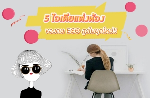 5 ���������ͧ �������������ͧẺ Modern Natural Style �ͧ�� ECO �٧��ؤ����!!