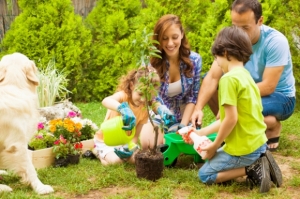 ��١����� ��١�����ô� ��١����˹������