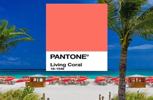 Pantone ѷѴк չ¡ "Living Coral 16-1546" ջШӻ 2019 ֡ ժԵ з͹֧Ѳ