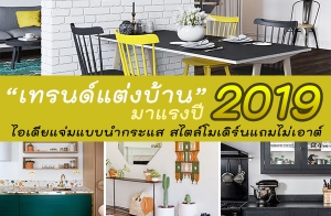 �ù���觺�ҹ ���ç�� 2019 ��������Ẻ�ӡ���� �����������������ҵ� �ٴ������š������